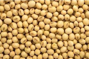 roasted-gram