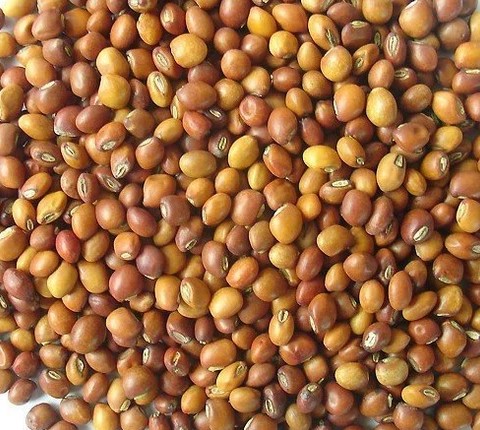 roasted-gram